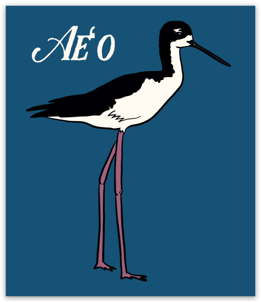 Aeʻo