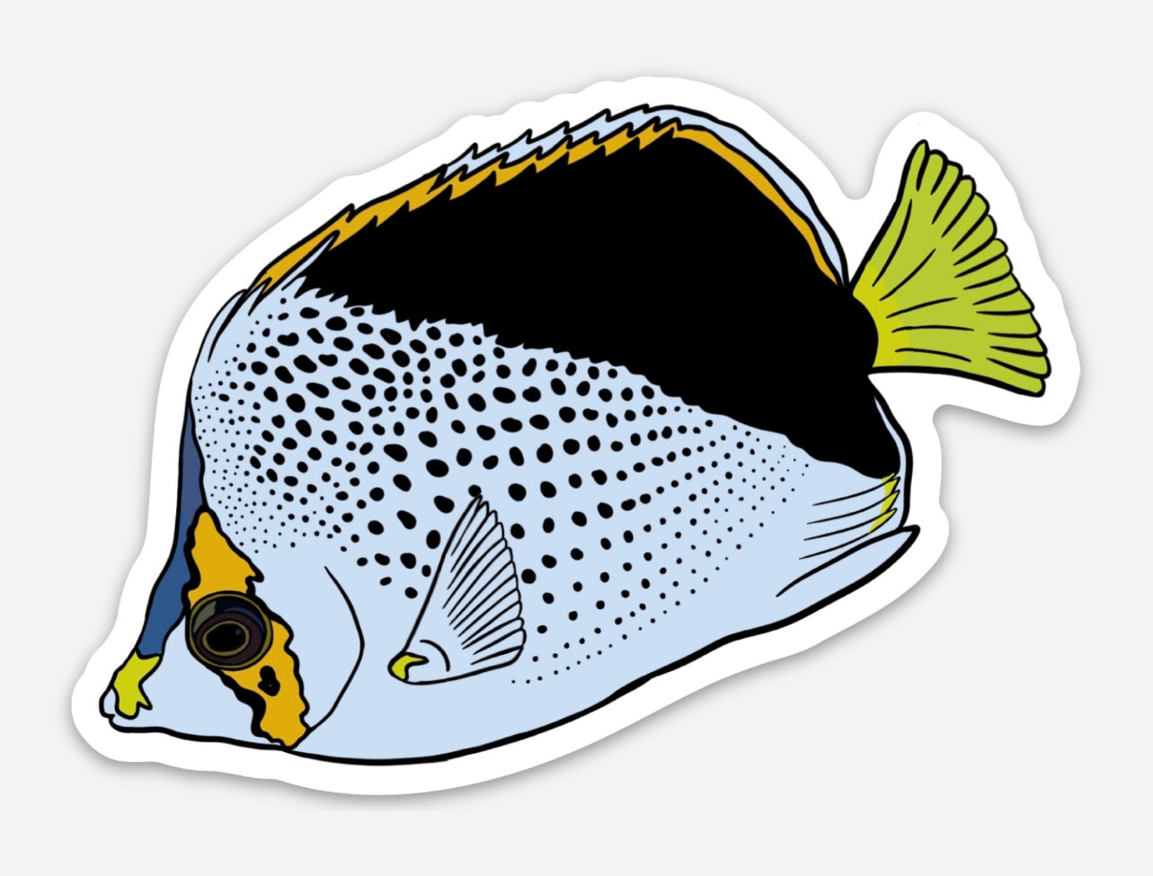 Kīkāpu (Tinker’s Butterflyfish)