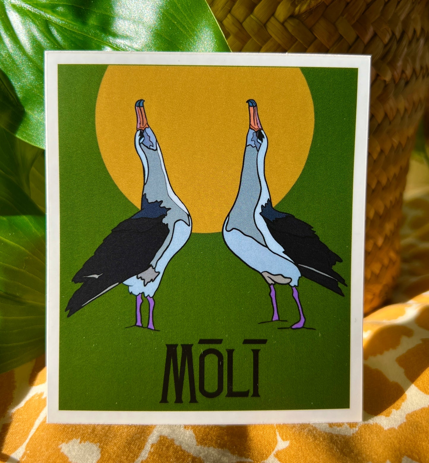 Mōlī Sticker