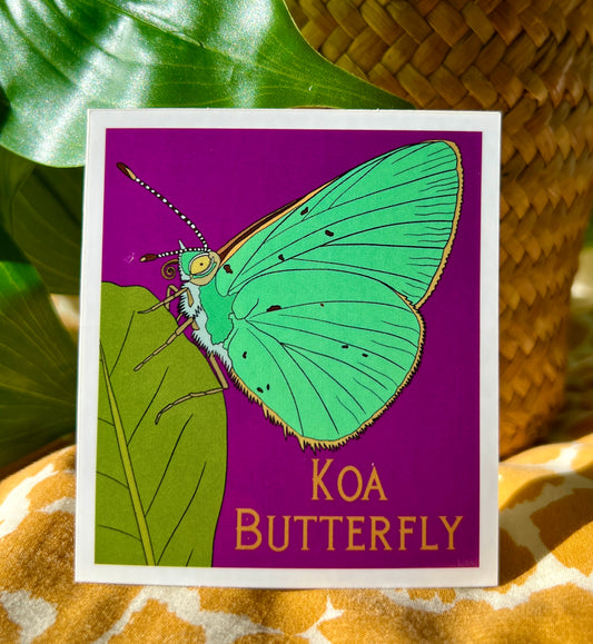 Koa Butterfly Sticker